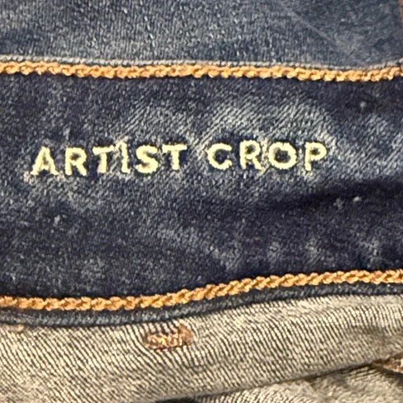American Eagle Artist Crop size 2 - Picture 3 of 6